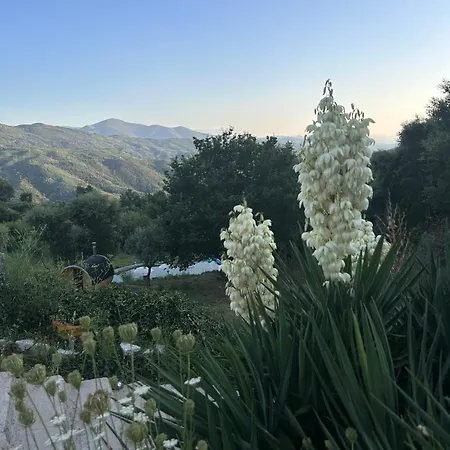 Alcmaria With Amazing Views At Zevariclub! *