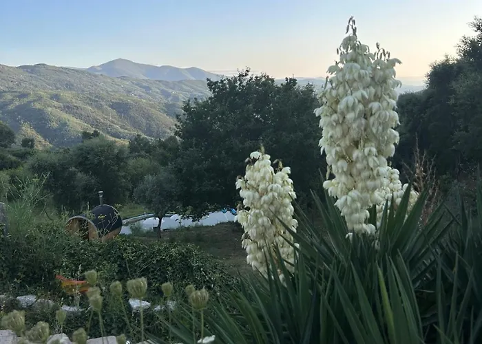 Alcmaria With Amazing Views At Zevariclub! *